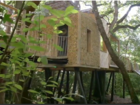 Look inside this luxurious $200K treehouse